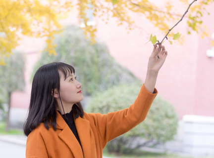 “在更高起点上扎实推动中部地区崛起”